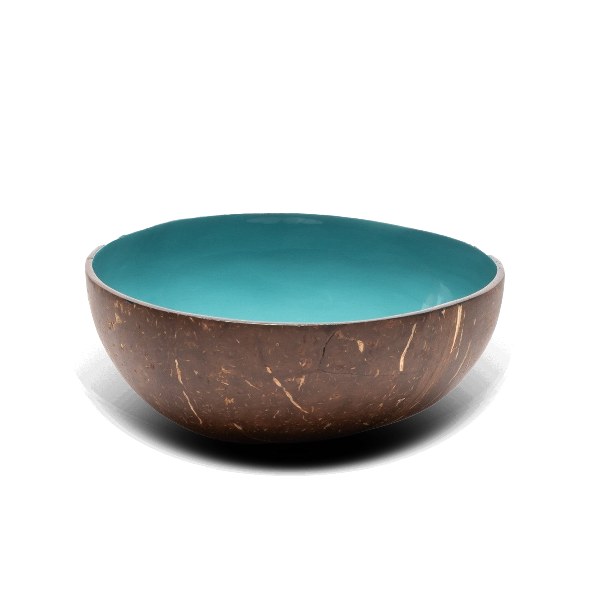 turkooise coconutbowl